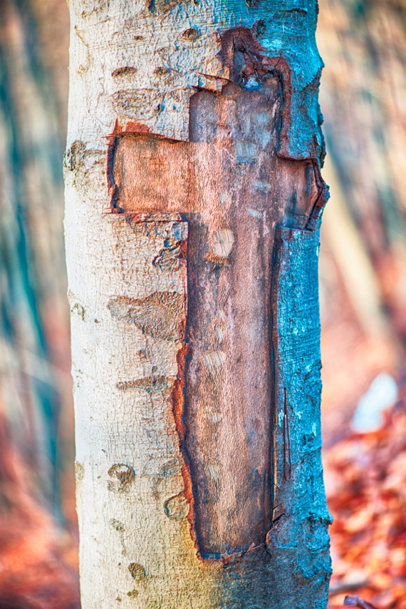 Stock graphics-May-2016-98